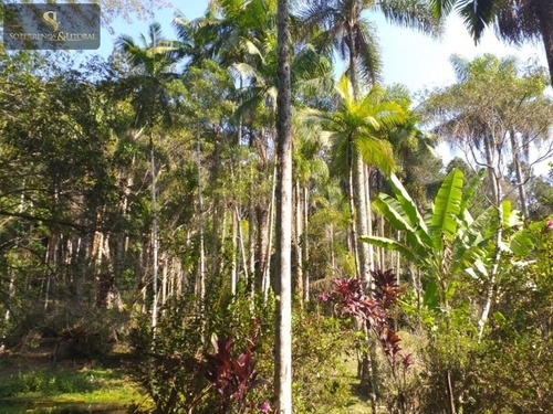 Imagem 16 de 30 de Sítio Em Quatinga - Mogi Das Cruzes -sp
