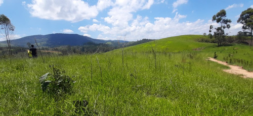 Imagem 5 de 9 de Terrenos/lotes Em Santa Isabel Com Otima Topografia.