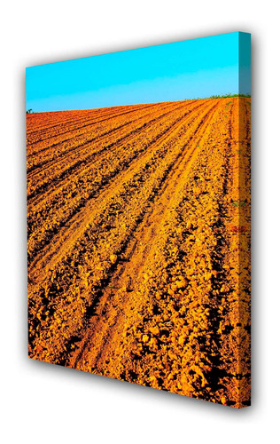 Cuadro 40x60cm Agricola Campo Cultivo Granja M4