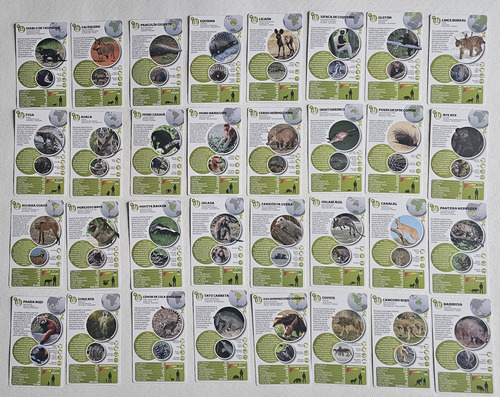 Cartas Didacticas Infantiles X 2 - Luminias Y Animal Planet