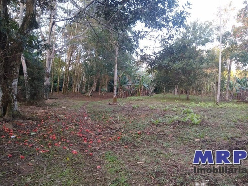 Imagem 5 de 12 de Terreno Em Ubatuba, Com Natureza Exuberante, Acesso Ao Rio, 1.500m², Bairro Residencial. - Te00142 - 34370754
