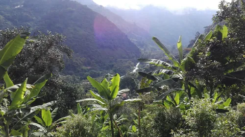 Venta De Finca Agropecuaria En La Martinica, Ibagué