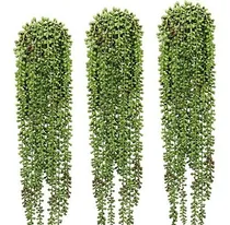 Comprar 3 Piezas De Cadena De Perlas Plantas Suculentas Colgantes Ar