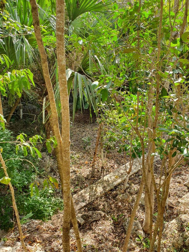 Terreno En Boulevard La Ceiba, Lázaro Cárdenas