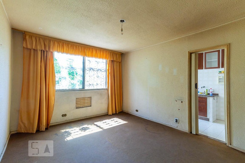 Apartamento Para Aluguel - Quintino Bocaiúva, 1 Quarto, 50 - 893241974
