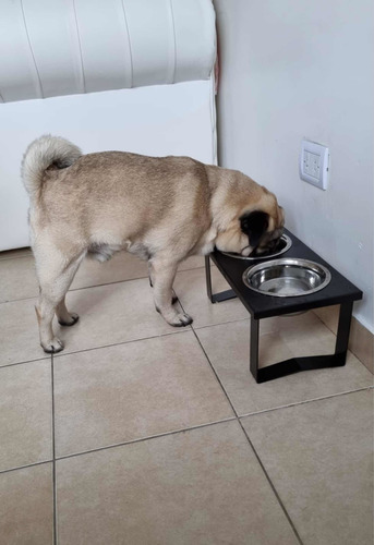 Imagen 5 de 5 de Comedero Doble Perros En Altura De Acero Chico Modelo Net