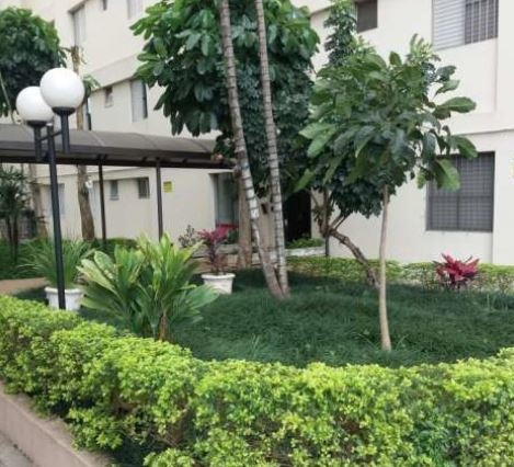 Imagem 12 de 14 de Apartamento À Venda Na Vila Jaraguá - 10120