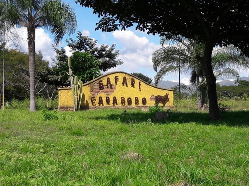 Imagen 9 de 20 de Rentahouse Concepto 0414-412.8424 / 22-15312