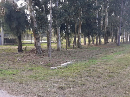 Imagen 11 de 15 de Terreno En Venta En Barrio El Chaqueño