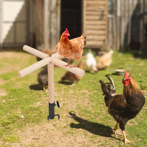 Percha De Pollo Para Gallinero Barra De Descanso Para Pollit