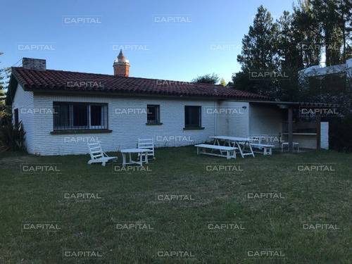 Casa En Alquiler - San Rafael-ref:27409
