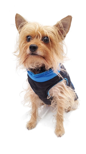 Chaleco Perro Azul Invierno Frio Talla 6 Mascota Pet Pals