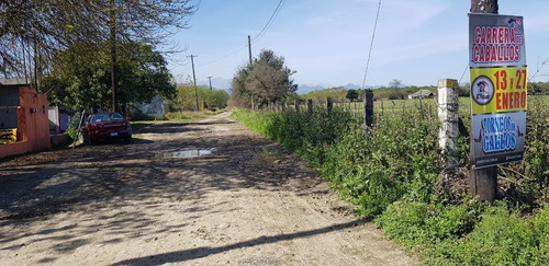Imagen 2 de 3 de Terreno Renta En Carretera Nacional Allende N.l