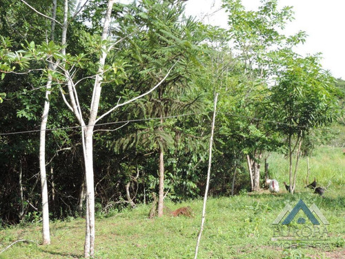 Chácara Com 1 Dormitório À Venda, 8000 M² Por R$ 480.000,00 - Gleba Ribeirão Cafezal - Londrina/pr - Ch0031