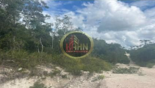 Campeche Calakmul Terreno Rustico En Venta