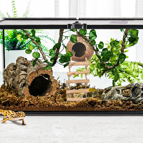 Habitat De Gecko Escalera De Coco Y Plantas Coloridas