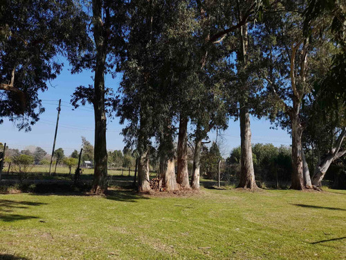 Imagen 8 de 13 de Venta Lote Terreno 3600m2