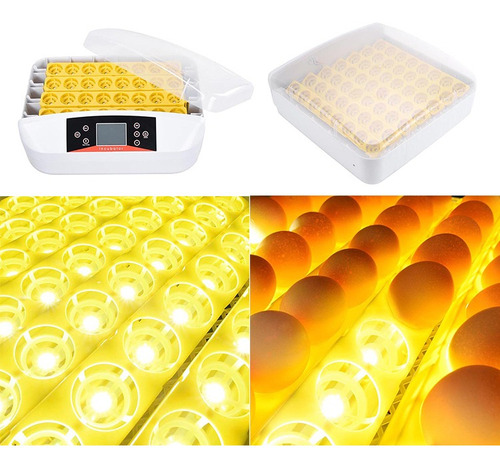 Imagen 6 de 6 de Incubadora De Pollos Capacidad 55 Huevos