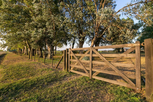 Imagen 30 de 30 de Oportunidad De Chacra Más Campo -18ha - En Virrey Del Pino
