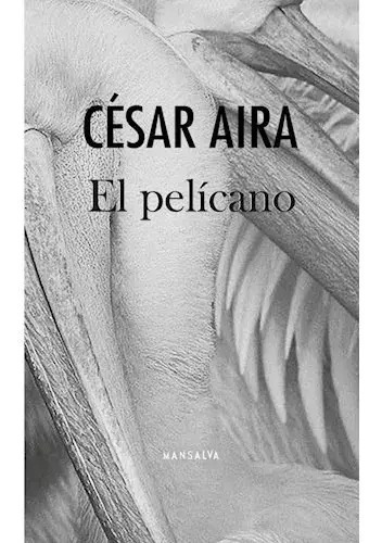 El Pelicano - Cesar Aira - Lu Reads