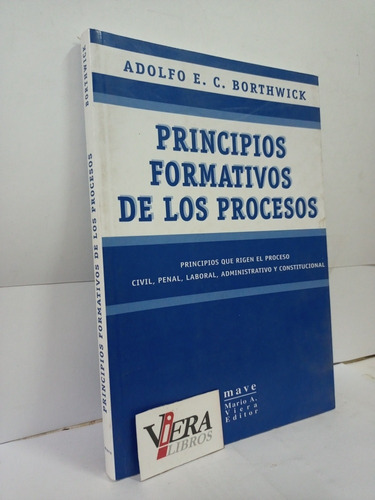 Principios Formativos De Los Procesos - Borthwick