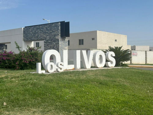 Preventa En Los Olivos En Gomez Palacio