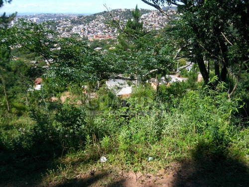 Imagem 6 de 10 de Terreno - Coronel Aparicio Borges - Ref: 38025 - V-38025