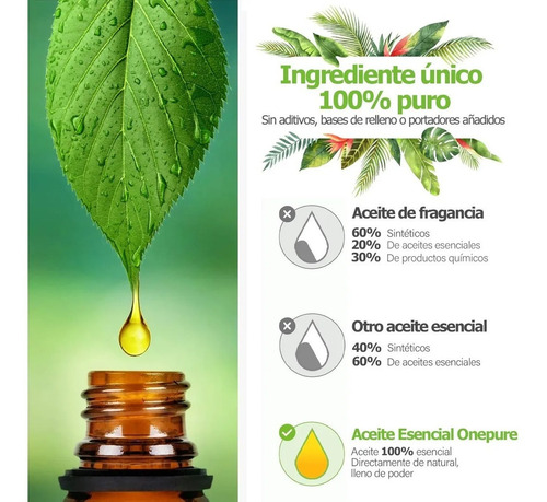 Imagen 5 de 5 de Set De Aceites Esenciales Naturales 10 Ml Para Aromaterapia