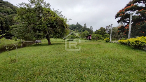 Imagem 28 de 30 de Mini Haras - 213 - 70588973