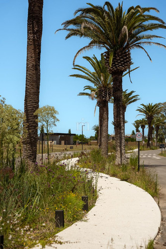 Venta Terreno En Zona Lagos, Parque Miramar