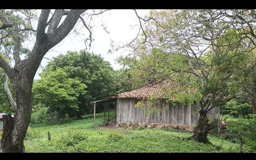 Imagen 28 de 30 de Se Vende Finca De 154 Manzanas