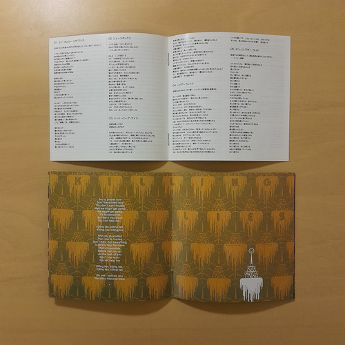 The Strokes - First Impressions Of Earth/ Japão/ 2006/ Obi Importado (Usado)