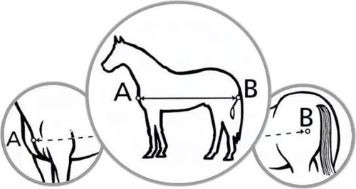 Imagen 6 de 6 de Manta Capa Para Caballo De Lycra Licra (desc. Venta Directa)