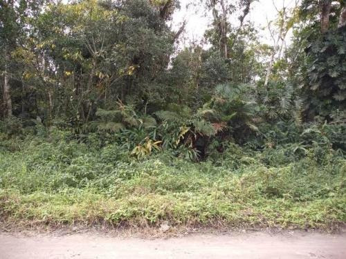 Imagem 1 de 3 de Terreno Chácara Itanhaém Gaivota Lado Serra 1km Da Rodovia.