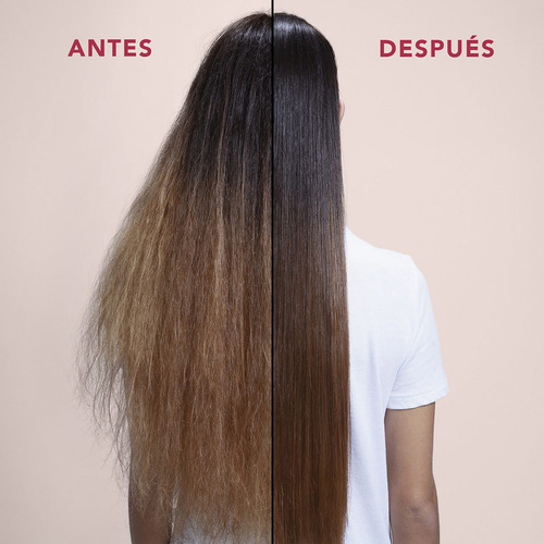 Acondicionador Cabello Dañado Sebastian Penetraitt 250 Ml