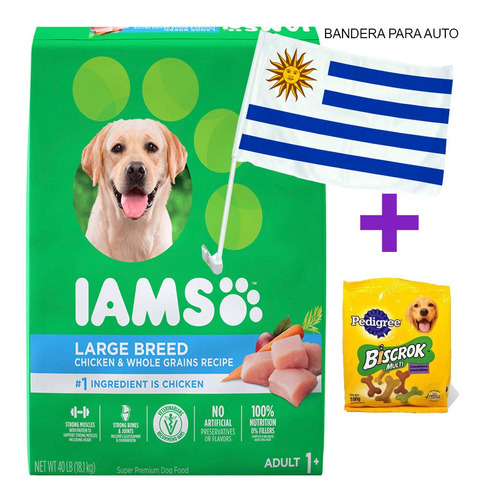 Iams Adulto Raza Grandes Gigantes 15kg Mas Regalo Y Envio