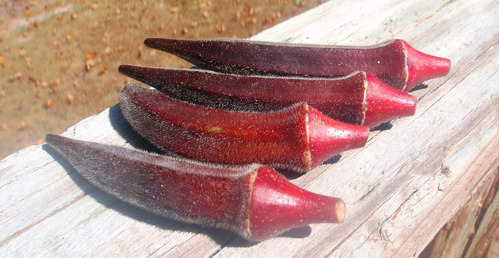 Imagem 2 de 6 de 15 Sementes De Quiabo Roxo Vermelho Okra Red Burgundy