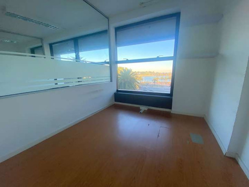 Imagen 7 de 11 de Alquiler De Oficinas En Piso 3, Marigot Office