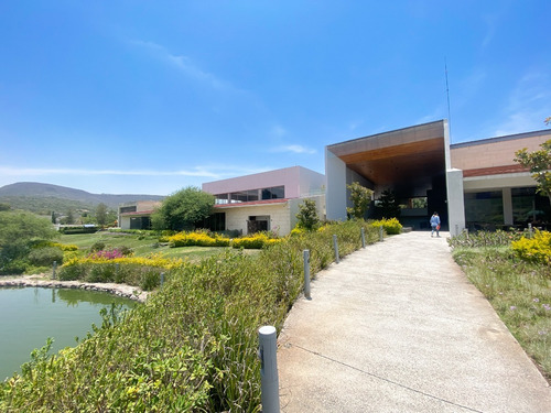 Imagen 7 de 21 de Casa En Venta Con Recamara En Planta Baja En Altozano Querétaro.