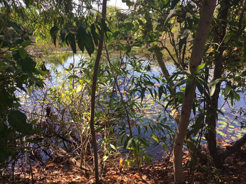 Imagem 27 de 30 de Terreno, Itacimirim, Camaçari - R$ 1 Mi, Cod: 67700 - V67700