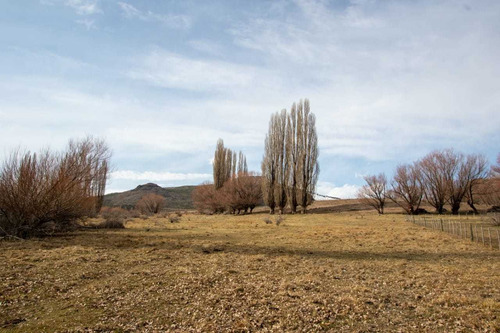 Alumine. Pcia De Neuquen 6 Hectareas