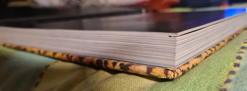 Libro Biografía Susana Gimenez (Usado)