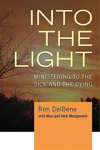 Into The Light, De Ron Delbene. Editorial Wipf Stock Publishers, Tapa Blanda En Inglés