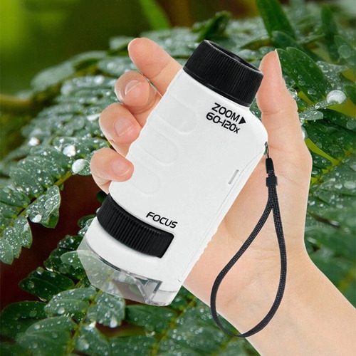 Microscopio Portátil Zoom Enfoque 60-100x Y Luz Led Color Blanco