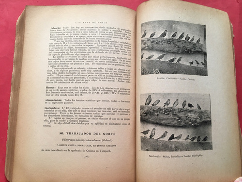 Las Aves De Chile En Su Clasificación Moderna 1945 R. Housse (Usado)