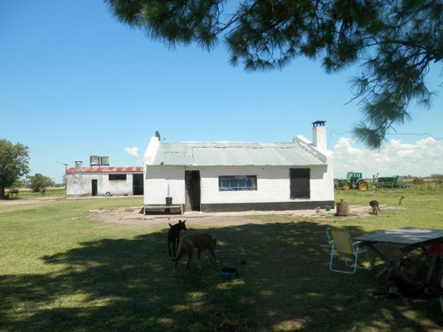 Estancia Isla Vizcaino 1569ha Ganadero Agricola Rio Negro Y Rio Uruguay