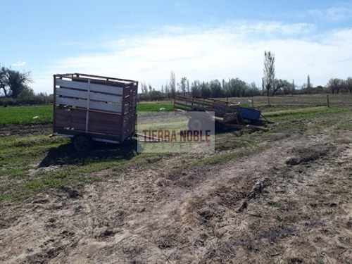 Imagen 13 de 17 de Permuto Por Casa Finca Agroganadera