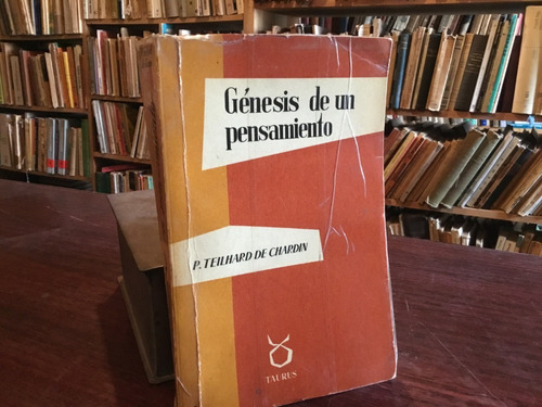 Teilhard De Chardin Génesis De Pensamiento Cartas 1914-1919