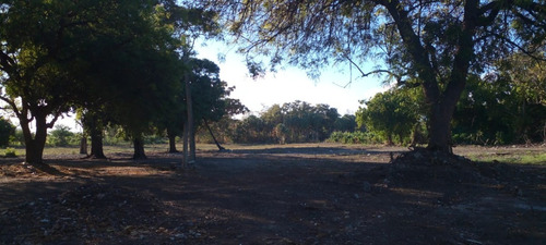 Imagen 3 de 19 de Vendo Solares En Bani Desde 500 Metros En Adelante Ideal Para Hacer Villas O Casa De Verano, República Dominicana