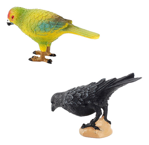 Q Simulation Peony Parrot Cormorant Modelo Bird Desktop 5662